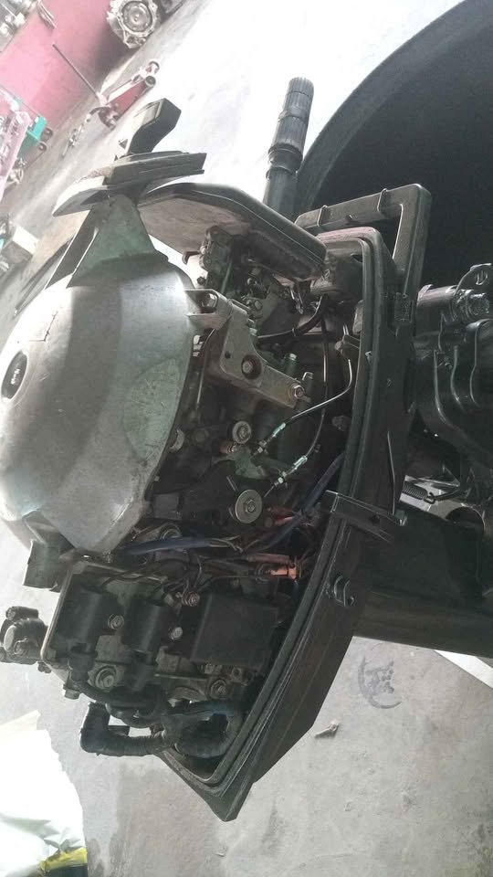 25 hp yamaha (6489690)